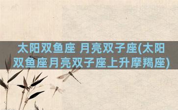 太阳双鱼座 月亮双子座(太阳双鱼座月亮双子座上升摩羯座)